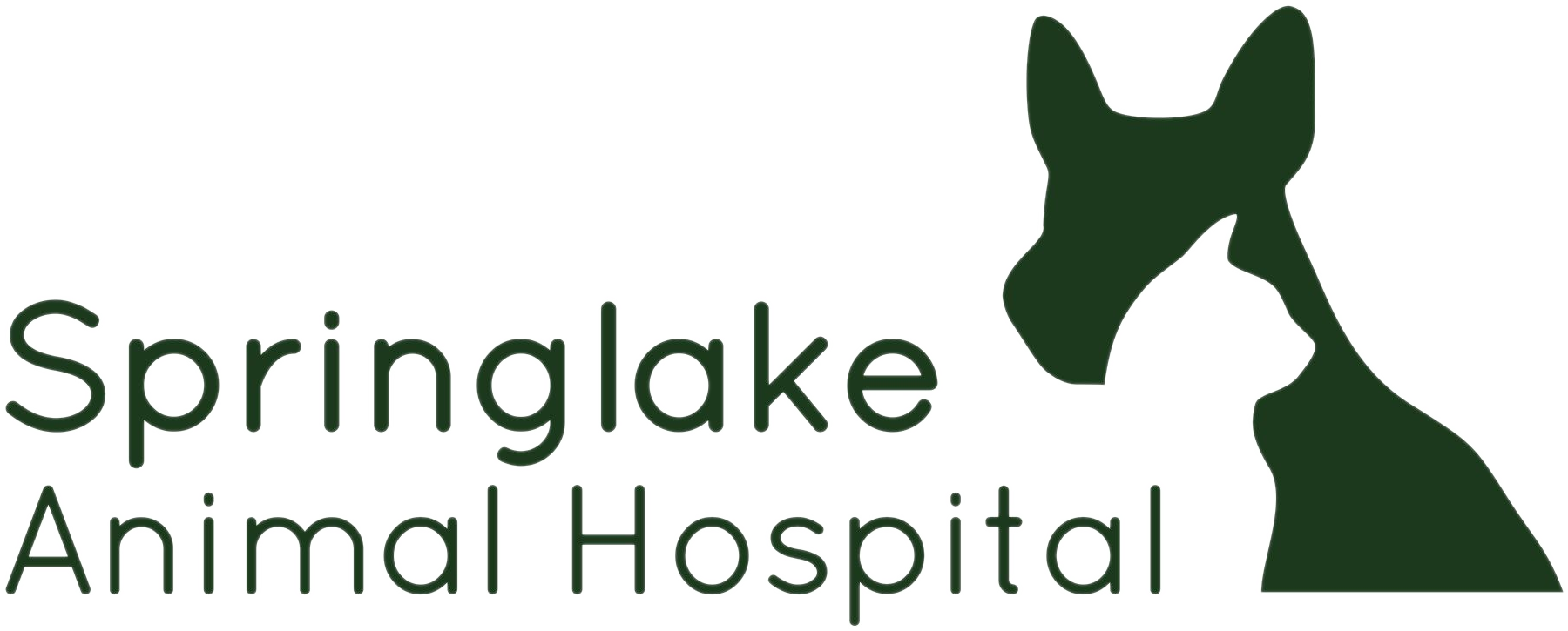 Springlake Animal Hospital